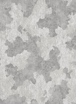 Титул-фон 21 светло-серая