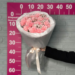 Букет цветов из 15 Диантусов с гипсофилой