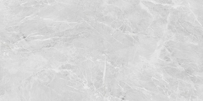 Керамогранит Eva Grey Polished 60x120