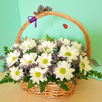 Корзина с хризантемой Баккарди