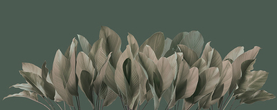 Фреска Applico, коллекция Tropic