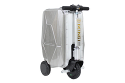 Чемодан Электро-самокат (серебристый) 36V 2,5Ah