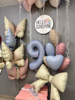 Набор шаров «Бабочки»