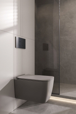 Zen подвесной унитаз с крышкой LUNA