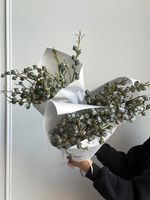 Охапка эвкалипта глобулус 5 шт