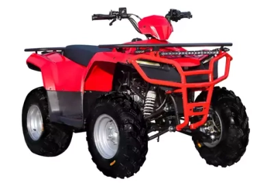 Квадроцикл взрослый Sharmax LUXE 300 (P)