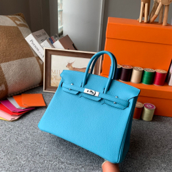 Hermes Birkin 25
