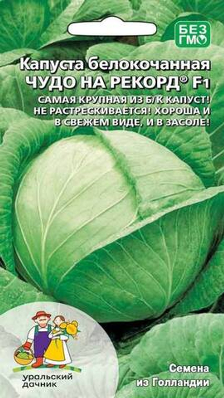 Капуста б/к "G. Чудо на рекорд F1" 0,3г., Нидерланды.