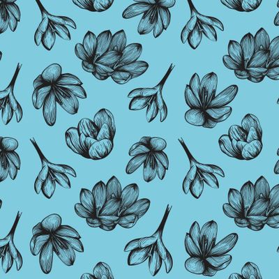 Цветы шафрана на нежно-голубом фоне. Крокусы