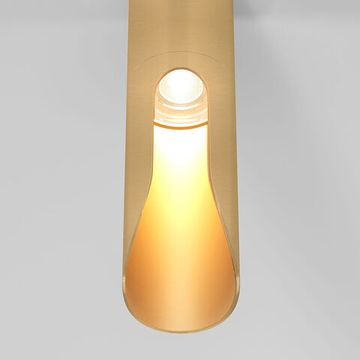 Потолочный светодиодный светильник LED 7W 3000К 25113/LED латунь Apex Elektrostandard