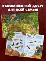 Удивительные энциклопедии. Секреты осеннего леса. Визуальная энциклопедия