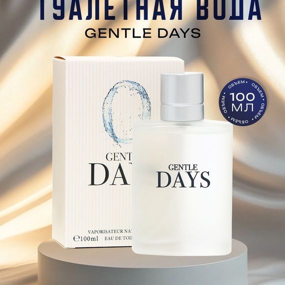 Туалетная вода мужская Gentle Days, 100 мл