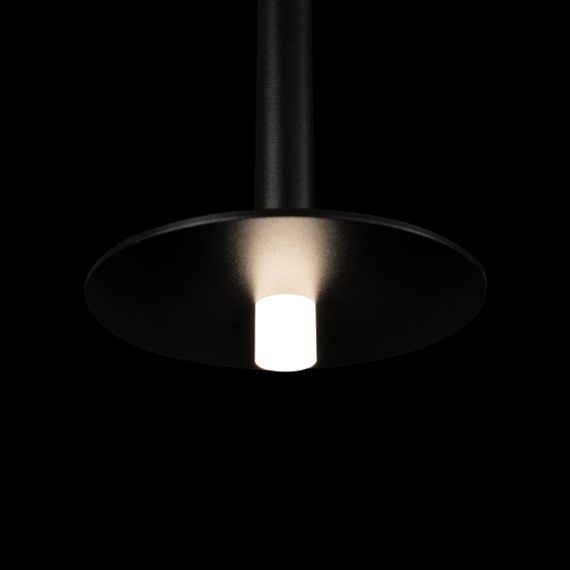 Подвесной светодиодный светильник Loft IT Reed 10358/830 Disk