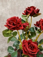 Роза кустовая бархатная, без кашпо.