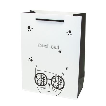 Пакет подарочный, Классный кот, Белый/Черный, 23*18*10 см, 1 шт.