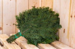 Веник для бани Пихтовый