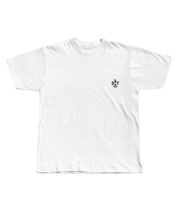 Футболка Biicla+Friends Tour2025 белая