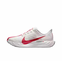 Air Pegasus Plus