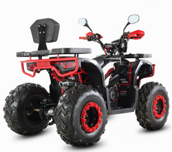 Квадроцикл WHITE SIBERIA BARS L200