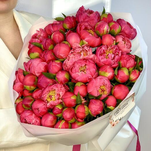 Монобукет из 51 пиона Коралл Шарм. Монобукет 041 Chalet Green