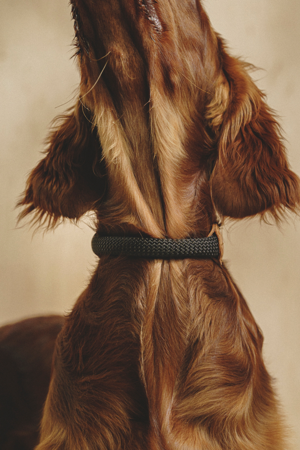 Ошейник "Пони-Макарони" Рыжий