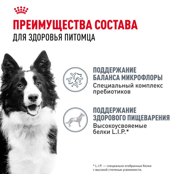 Сухой корм Royal Canin Medium Digestive Care для взрослых собак средних пород с чувствительным пищеварением