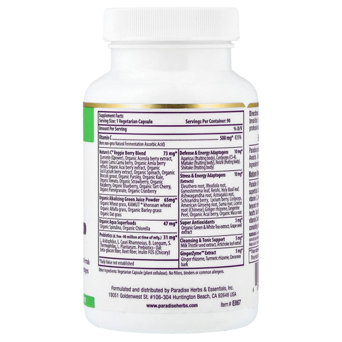 Paradise Herbs, Earth's Blend, витамин С, 500 мг, 90 вегетарианских капсул