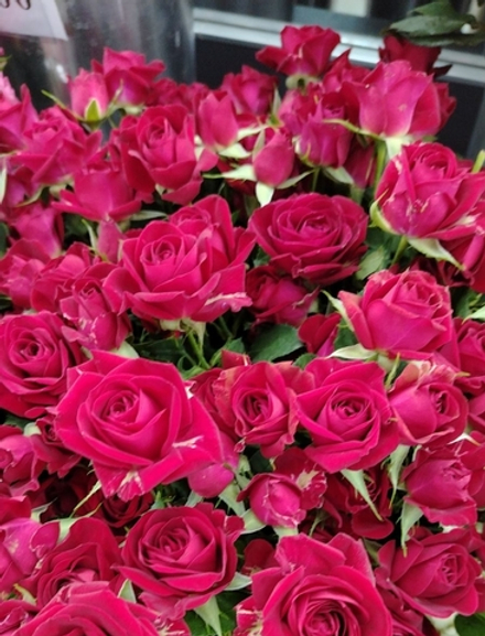 15 веток кустовых роз на 11.04