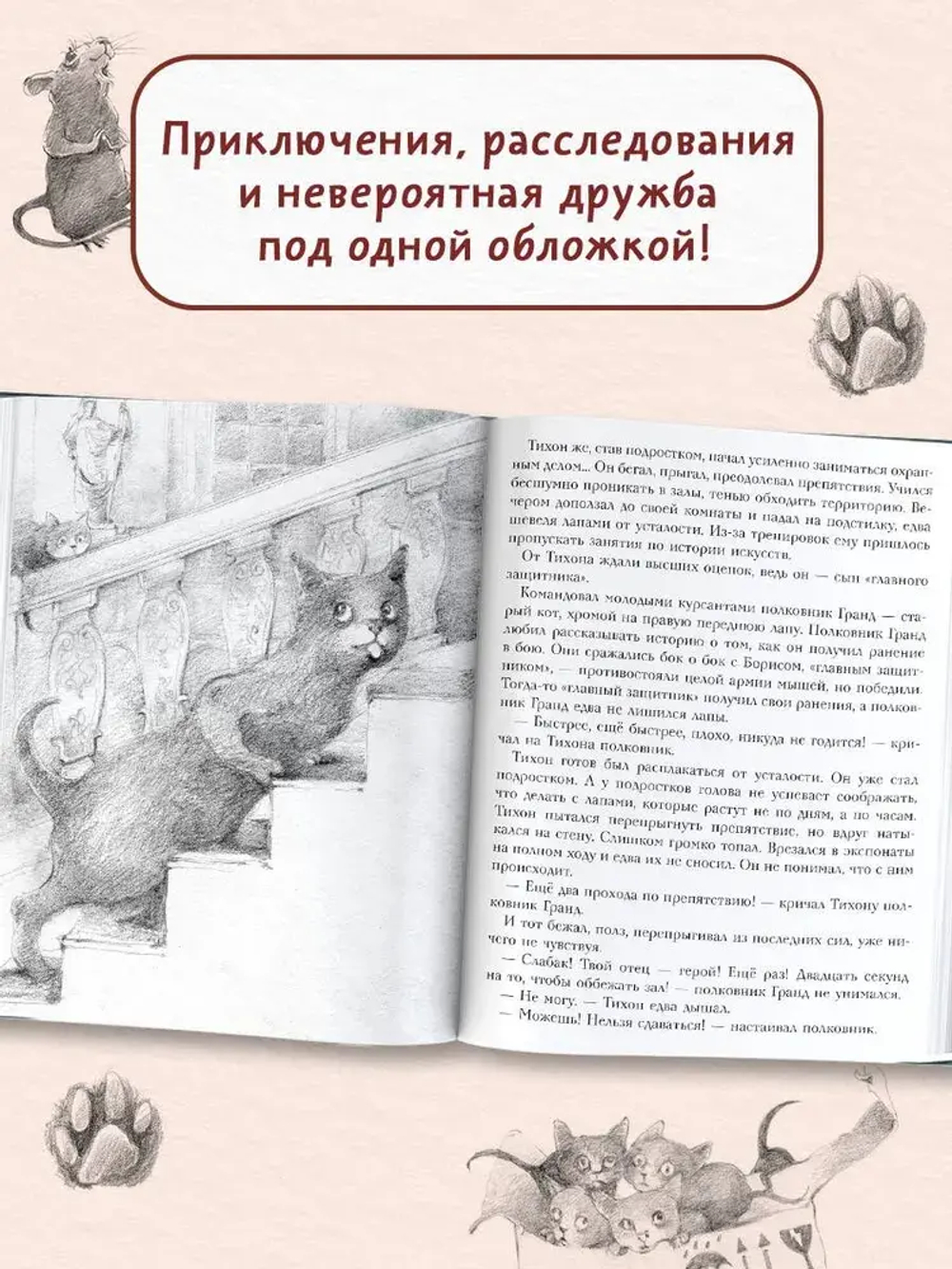 Большая книга приключений кота Тихона
