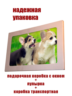 Фото картина на стекле , на стену , в подарок "Милые животные" 28х40 см. Декор для дома, подарок