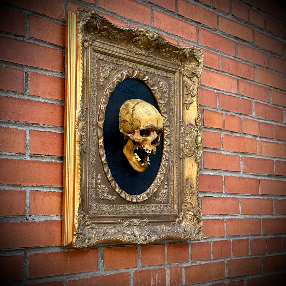 Череп в раме
