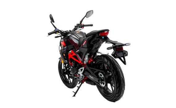 Мотоцикл MOTOLAND 501 (172FMM-5/PR250) ТУРЭНДУРО