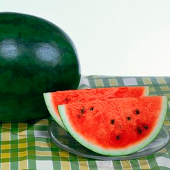 Шуга Деликата F1 семена арбуза (Sakata | Alexagro)