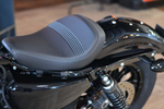 Harley-Davidson®Sportster®1200 Forty-Eight (XL1200X) 2020