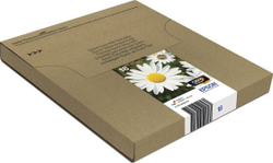 Картридж струйный Multi pack Epson C13T18064511