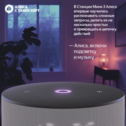 Умная колонка Yandex Станция Мини 3 Алиса серый 12W 1.0 BT/Wi-Fi (YNDX-00027GRY)