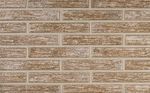 Кирпич облицовочный Plinfa Cassia 1809, 300x85x50
