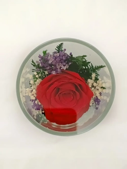 натуральные цветы в стекле, вакуум