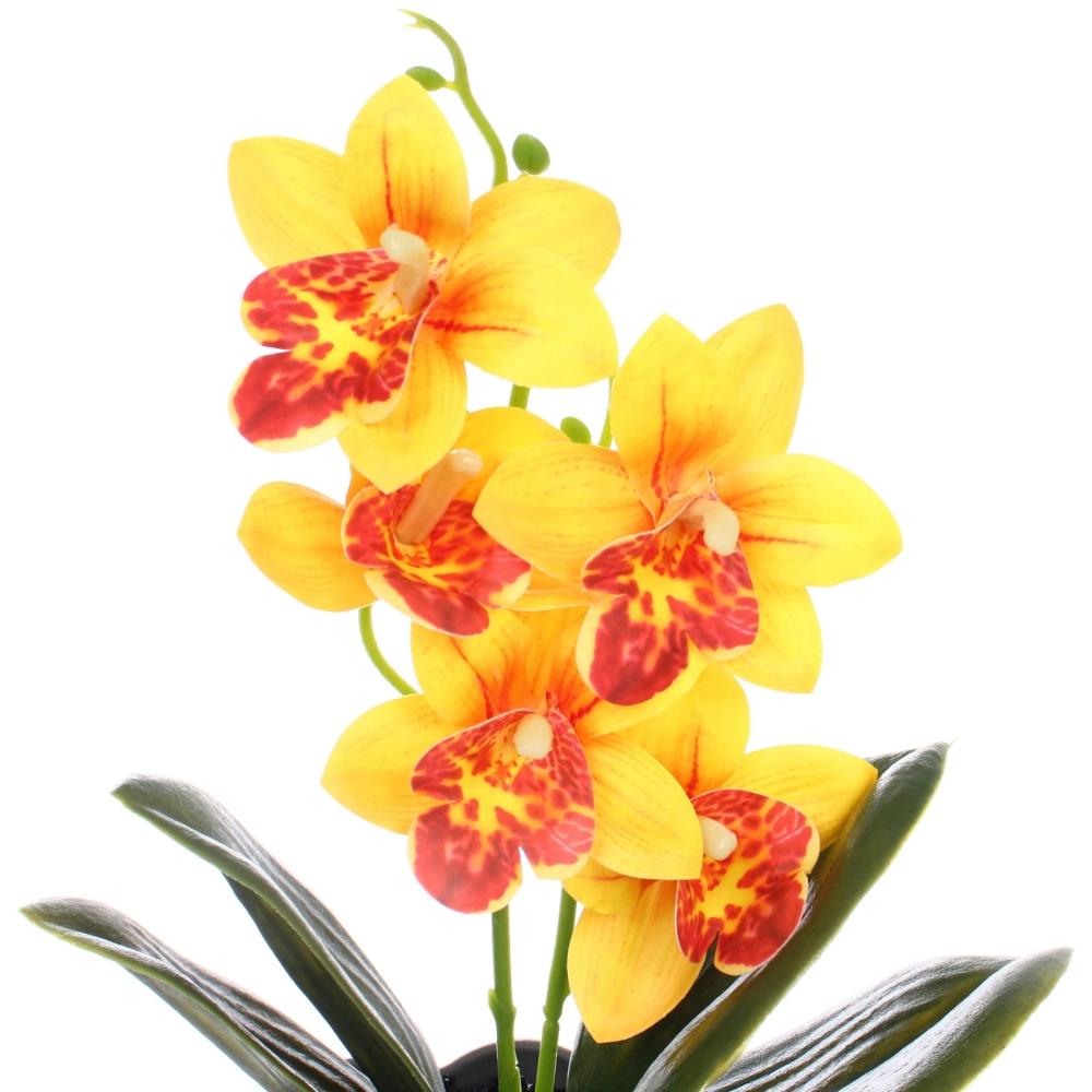 Цветочная композиция «Орхидея» 10*28см желтая в пластиковом горшке
