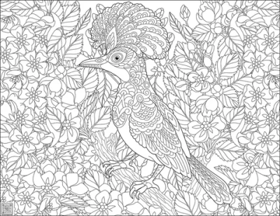 Цифровое панно ID Wall Раскраска "Райская птичка"