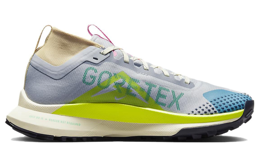 Кроссовки Nike Pegasus Trail 4 Gore-Tex (Женская размерная сетка)