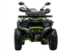 Квадроцикл MOTOLAND 200 Wild Track X Winch