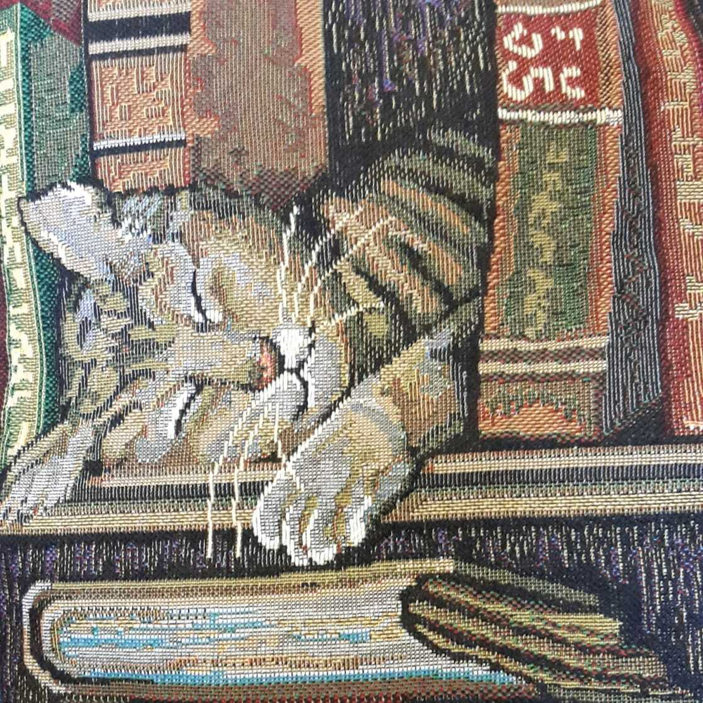 Декоративный гобеленовый чехол для интерьерной подушки Библиотекарь 47*47