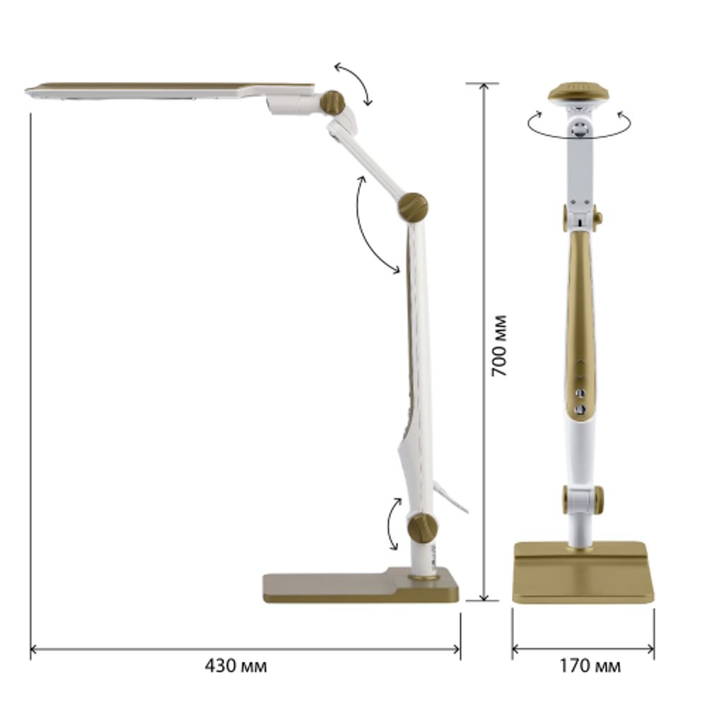 Настольный светильник ЭРА NLED-497-12W-G светодиодный на струбцине и с основанием золото | Светодиодные настольные лампы