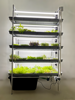 Гидропонная установка HydroBoss 5.0