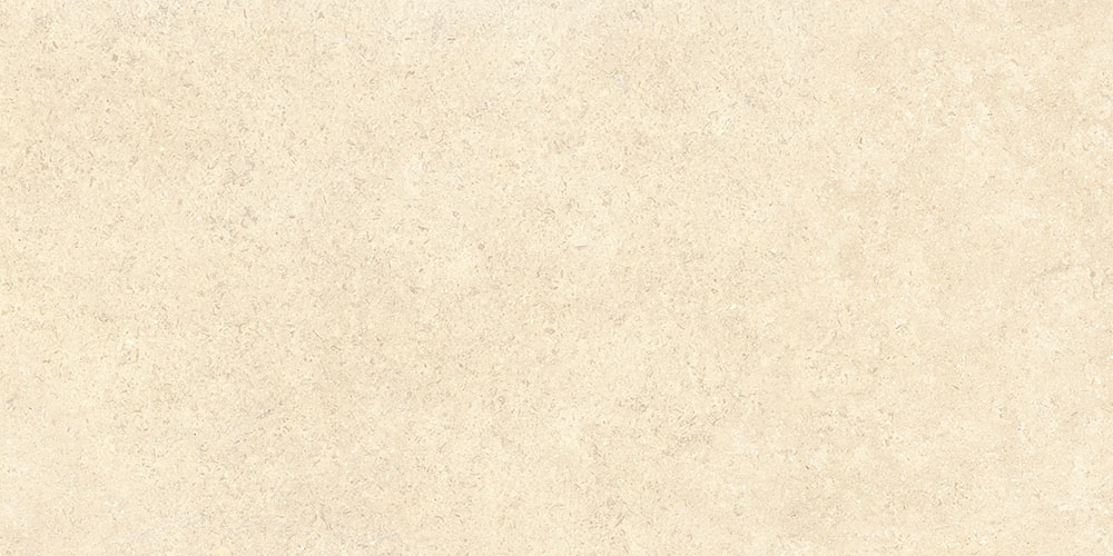 60х120 SandStone Песочный Матовый R10A Ректификат