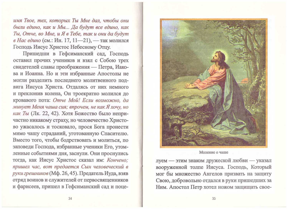 Земная жизнь Господа Бога и Спаса нашего Иисуса Христа