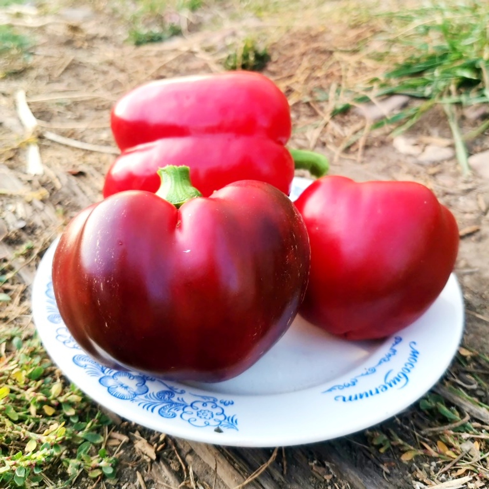 Перец Сладкий - Барбекю