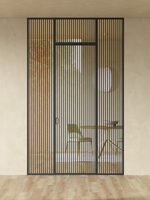 Minoli 16