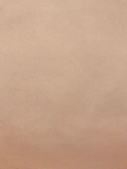 Обои ERISMANN SPRING 4508-14